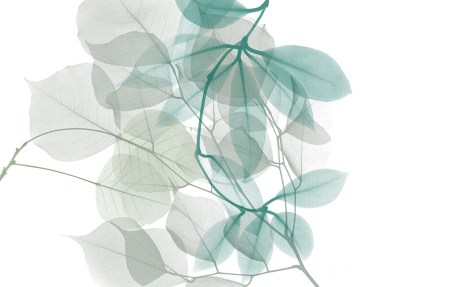 Kunst am Bau, EGK Gesundheitskasse