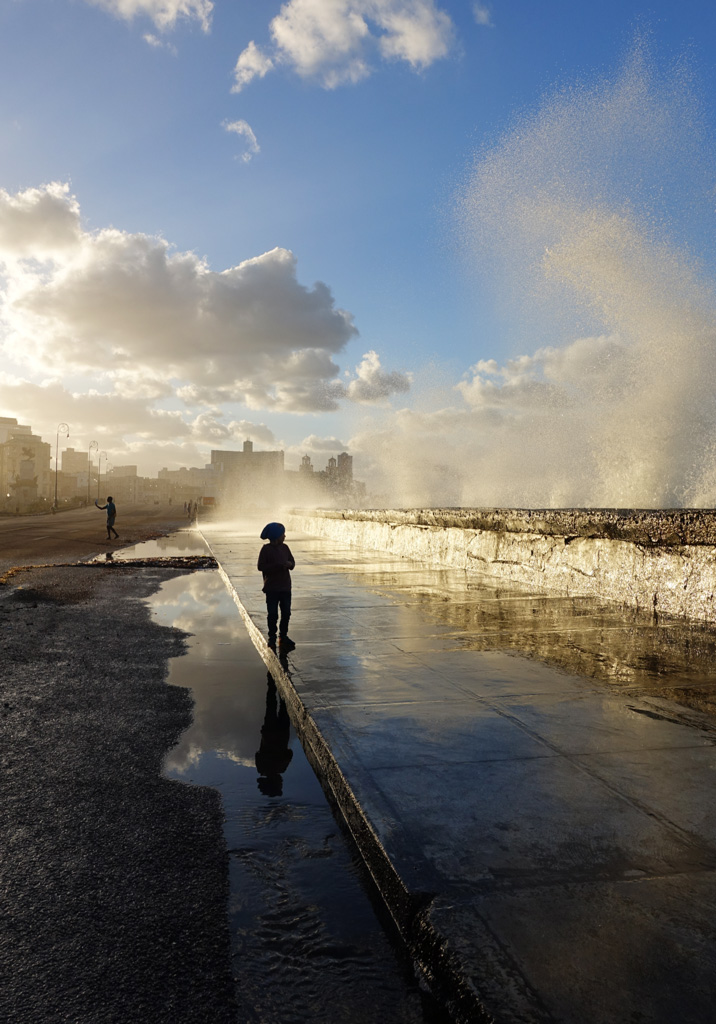 Cuba Malecon Octopus